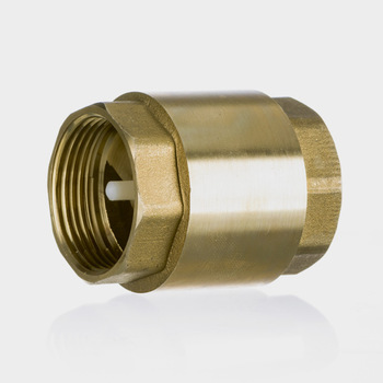 Vertical check valve
